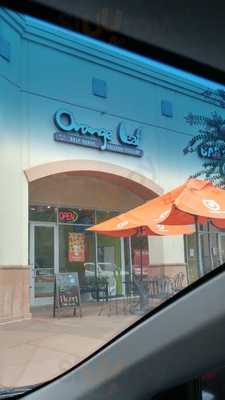 Orange Leaf Frozen Yogurt