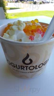 Yogurtology