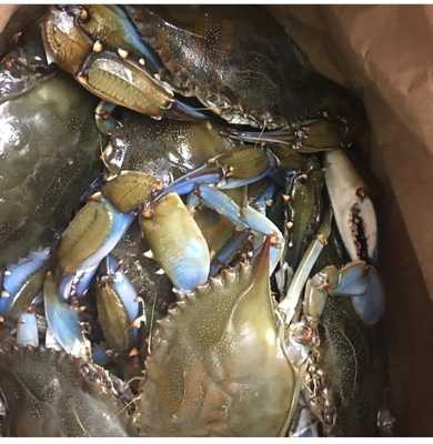 Coastal Crab Company