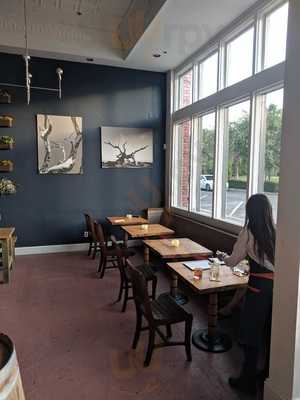 Strong Roots Provisions