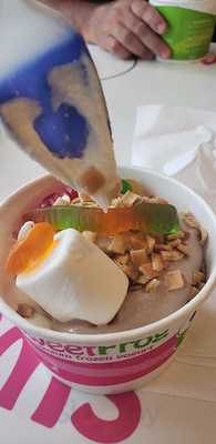 Sweetfrog Premium Frozen Yogurt