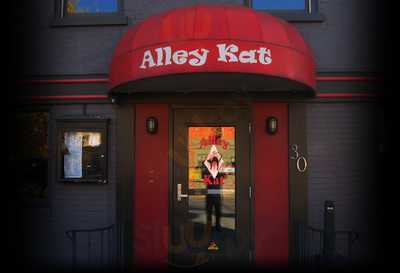 Alley Kat