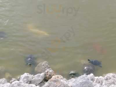 The Dugout Sports Bar And Grill