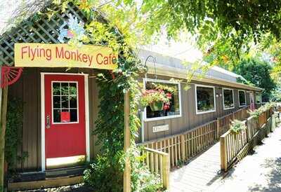 Flying Monkey Cafe