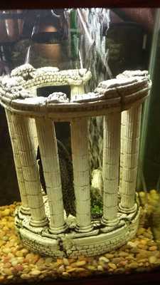 Pasquale's Restaurant