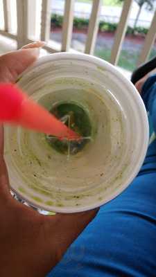Tropical Smoothie Cafe