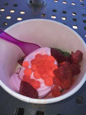 Mojo Yogurt