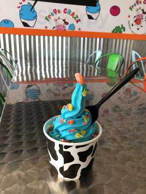Froyo Craze
