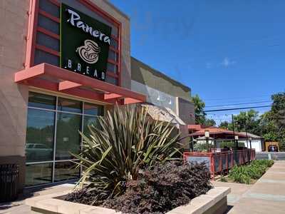 Panera