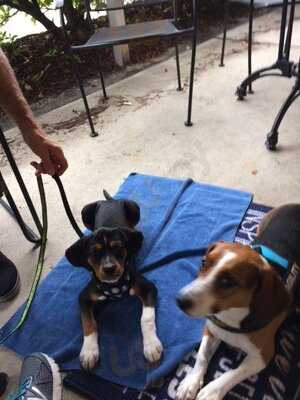 Slice Of Life Pizzeria & Pub Pine Valley