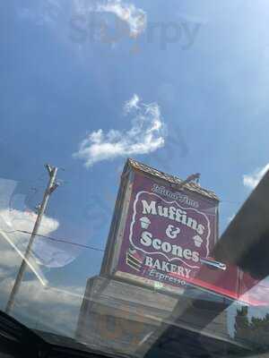 Island Time Muffins And Scones