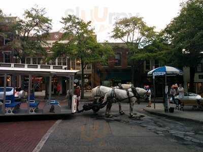 Bar Local Pub And Pizzeria