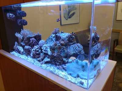 St. Charles Corner Cafe & Cascades Deli