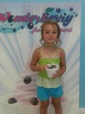 Wonderberry Frozen Yogurt & Desserts