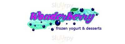 Wonderberry Frozen Yogurt & Desserts