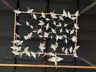 Kokai Sushi And Lounge