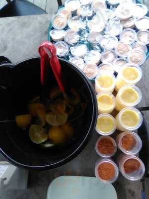 Southland Icehouse Ltd