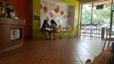 Tutti Frutti Frozen Yogurt