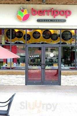 Berripop Frozen Yogurt