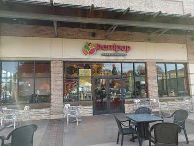 Berripop Frozen Yogurt