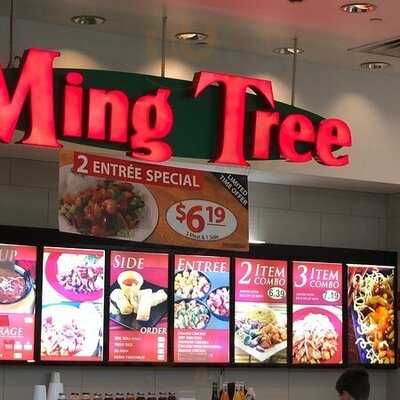 Ming Tree