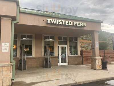 Twisted Fern