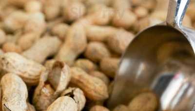 Five Guys Springfield