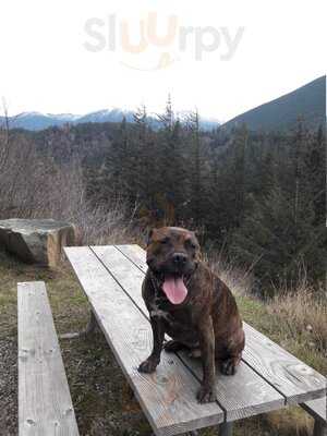 Cg Public House And Catering