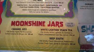 Mellow Mushroom Gatlinburg