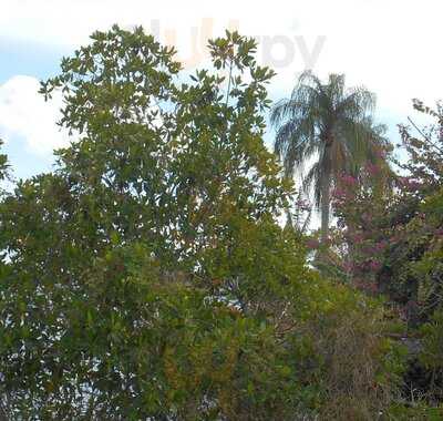 Foto 43167507
