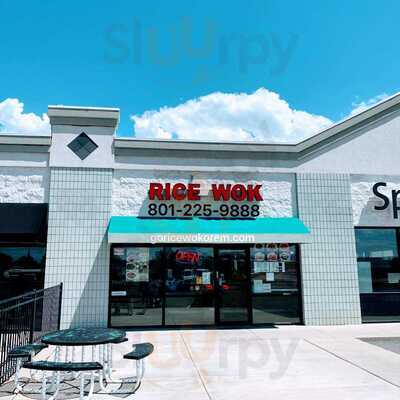 Rice Wok