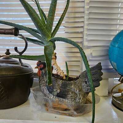 Keller's Iron Skillet