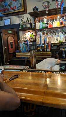 The Dog And Duck Irish Pub