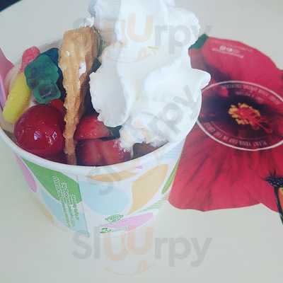 Yogurtland