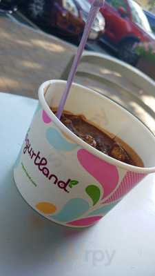 Yogurtland