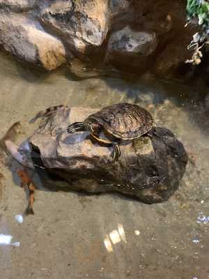 Foto 69452692