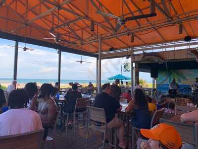 Coconuts On The Beach