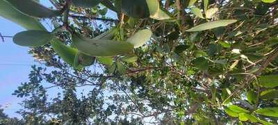 4th Street Fillin Station