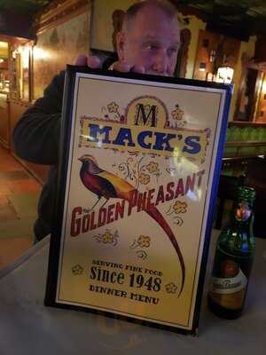 Mack's Golden Pheasant