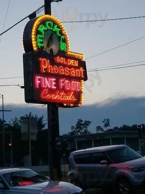 Mack's Golden Pheasant