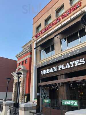 The Cheesecake Factory