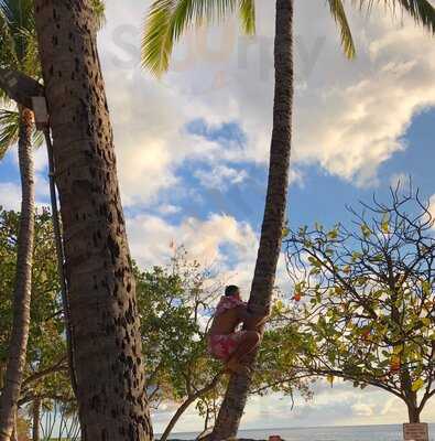 Paradise Cove Luau