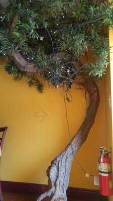 Thai Thai Cocoa Village