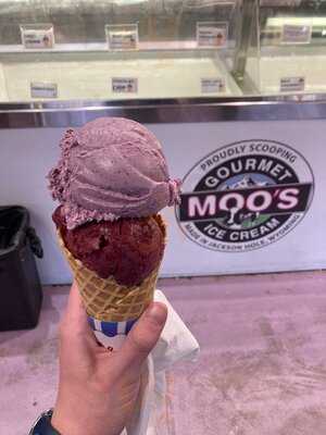 Moo's Gourmet Ice Cream
