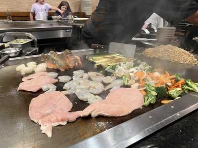 Shogun Grill & Sushi Bar