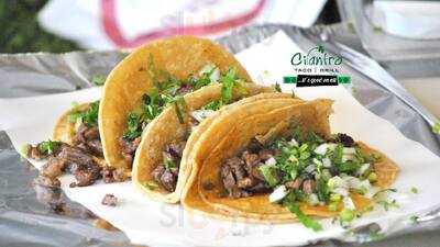 Cilantro Taco Grill