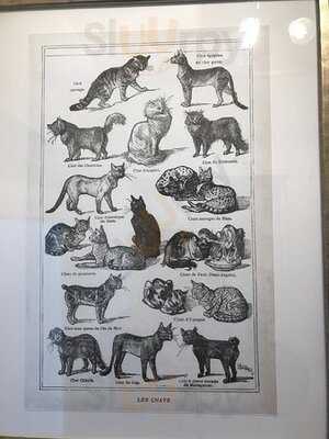 The Phoenix And The Dragon