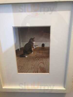 The Phoenix And The Dragon