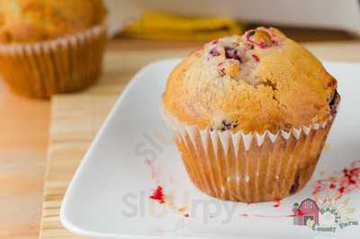 County Farm Bagels Of Wheaton