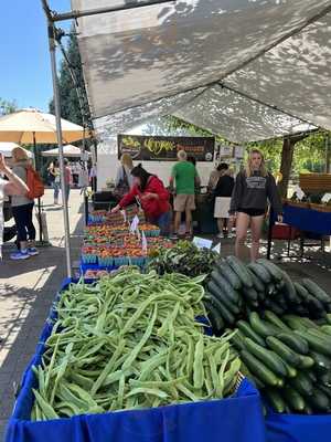 Lowhill Village Bakery